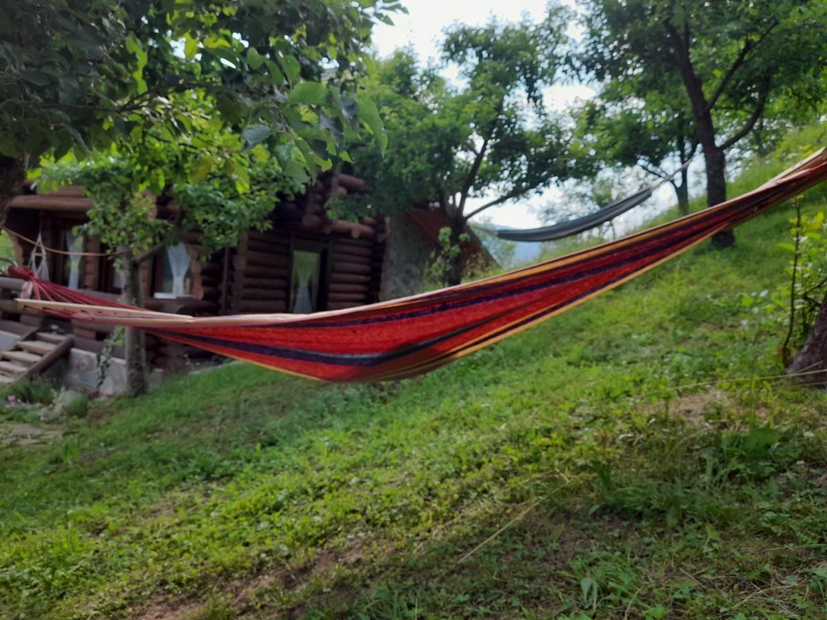 Cabana din Revier Viseu de Jos Esterno foto