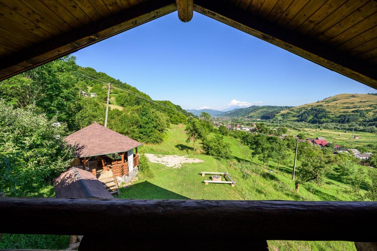 Cabana din Revier Viseu de Jos Esterno foto