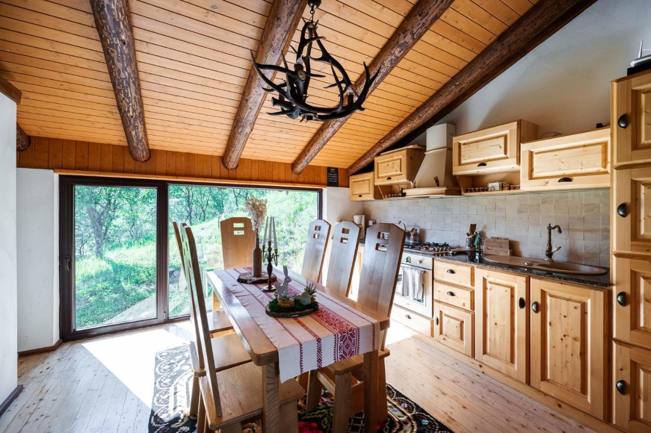 Cabana din Revier Viseu de Jos Esterno foto