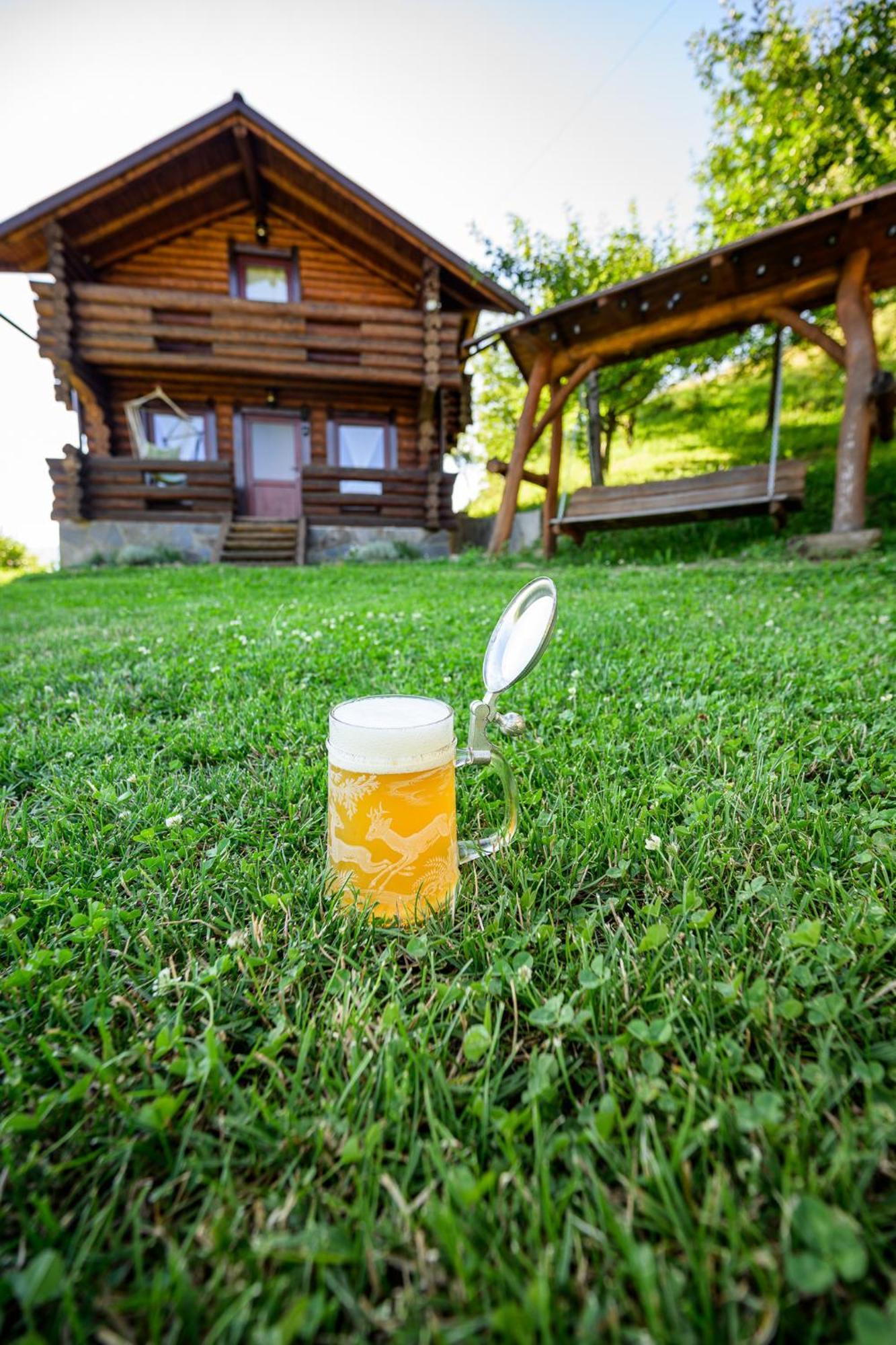 Cabana din Revier Viseu de Jos Esterno foto